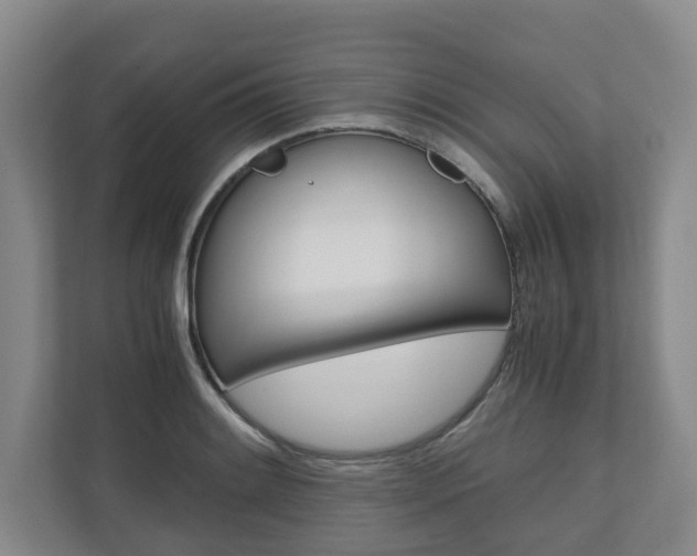 X0000110931084200906181151