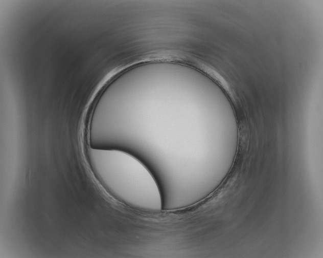X0000110931091200906181151