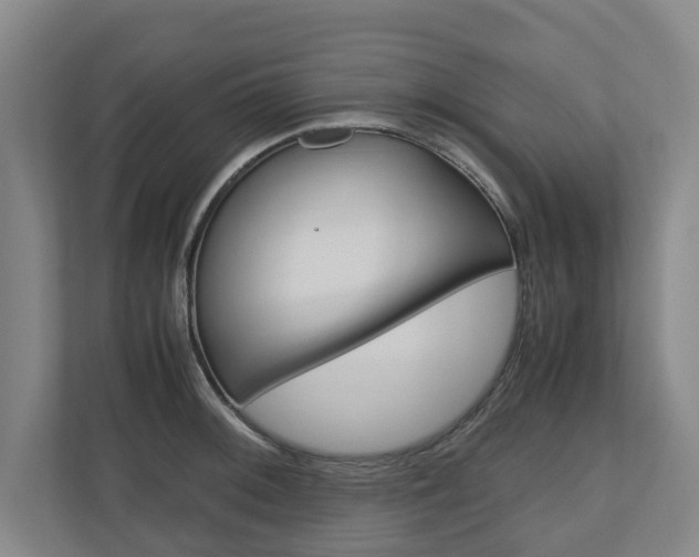 X0000110931092200906181151