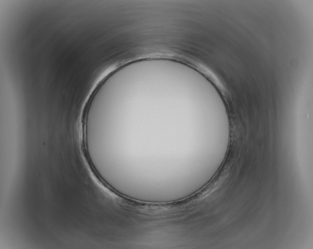 X0000110931095200906181151