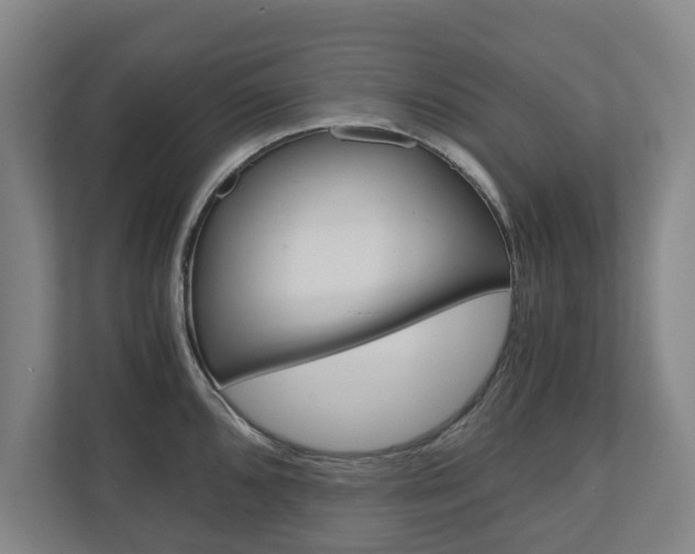X0000110931096200906181151