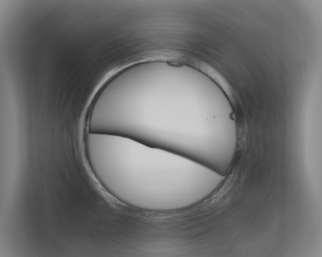 X0000110931099200906181151