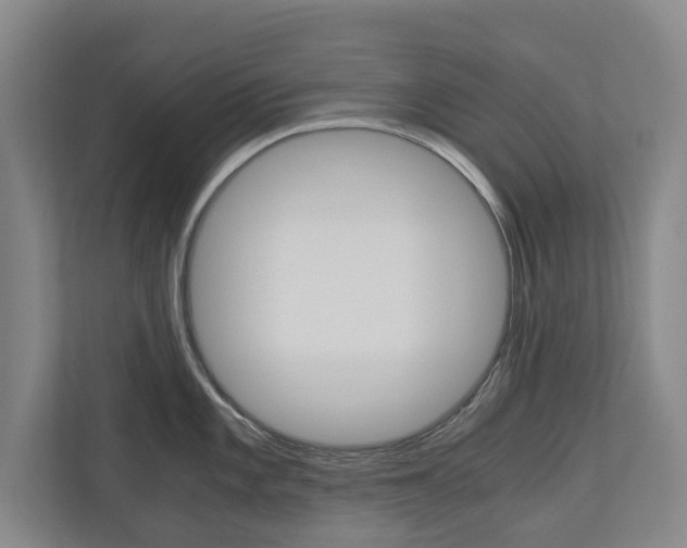 X0000110931101200906181151