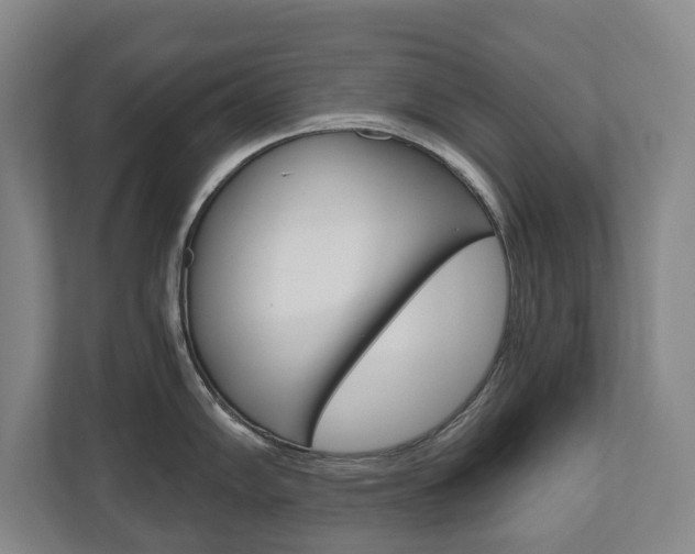 X0000110931102200906181151