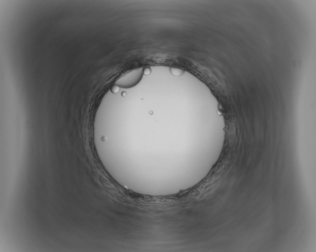 X0000110931105200906181150
