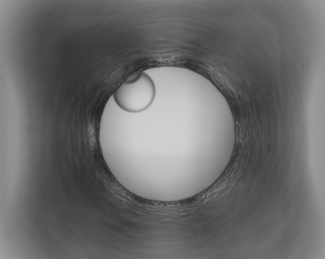 X0000110931106200906181150