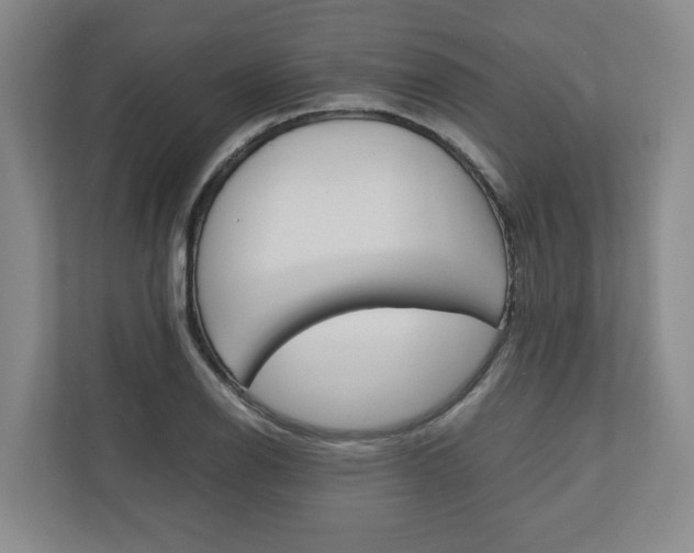 X0000110931126200906181150