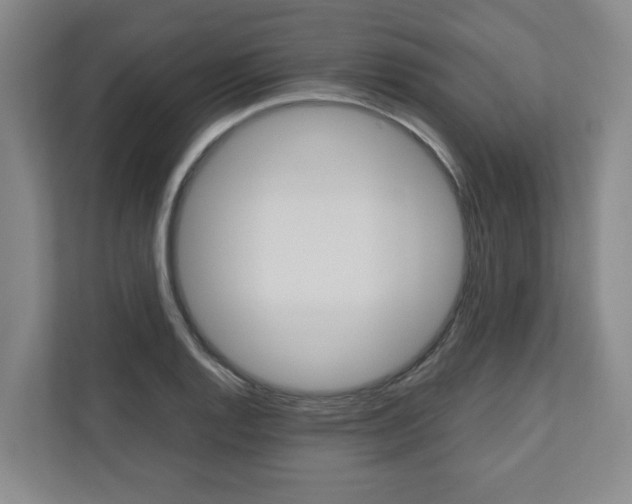 X0000110931128200906181150