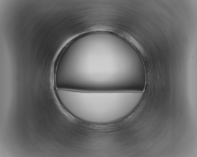 X0000110931132200906181150