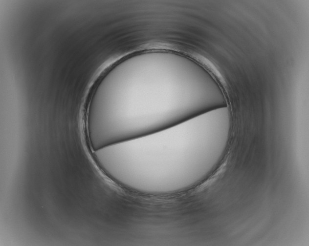 X0000110931133200906181150