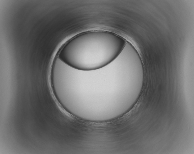 X0000110931136200906181150