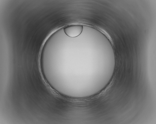 X0000110931138200906181150