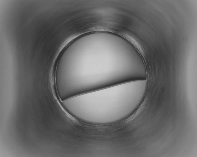 X0000110931141200906181150