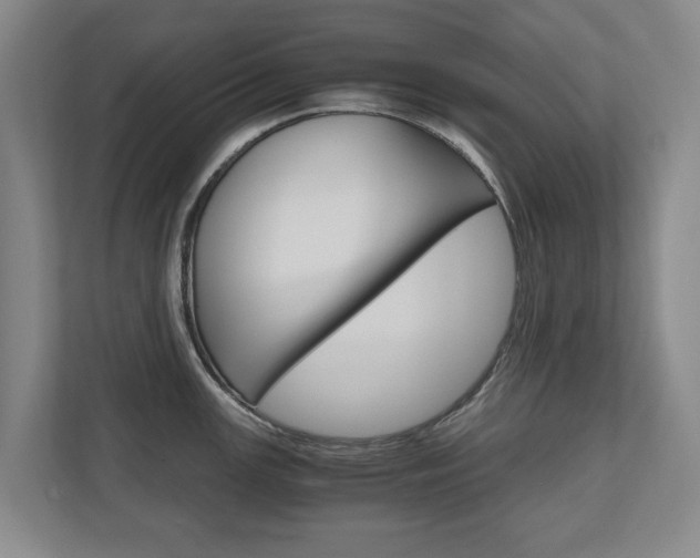 X0000110931147200906181150