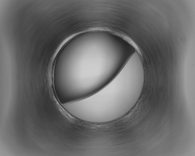 X0000110931148200906181151