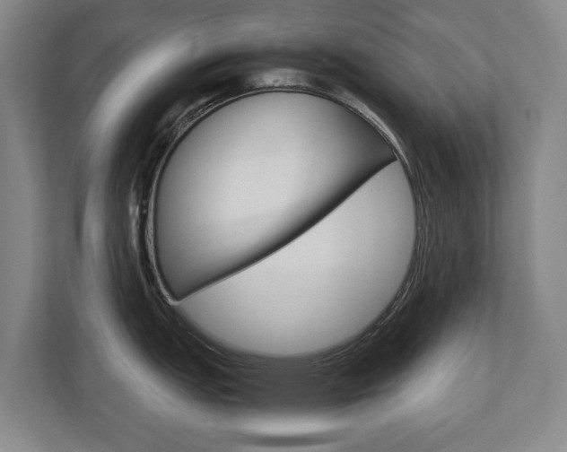 X0000110931151200906181151