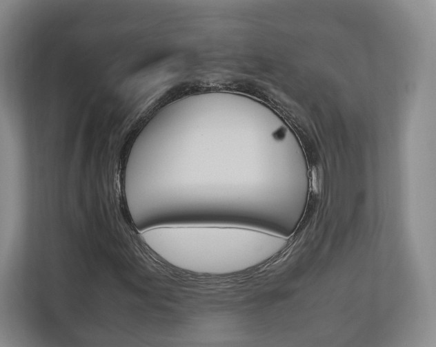 X0000110931155200906181150
