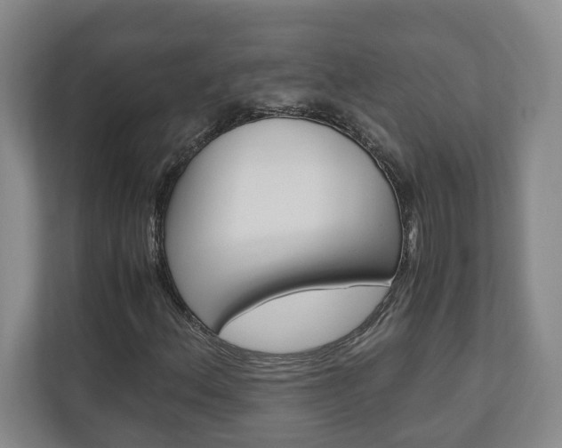 X0000110931156200906181150