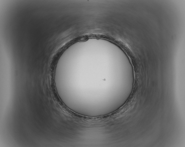 X0000110931159200906181150