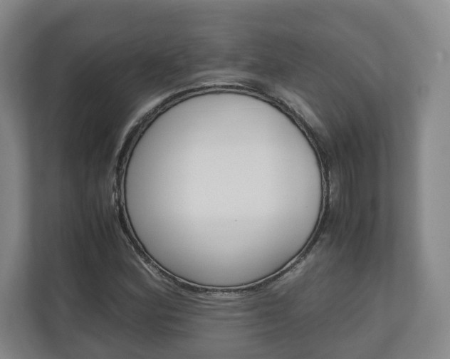 X0000110931164200906181150