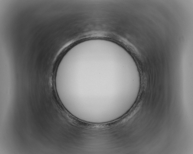 X0000110931166200906181150