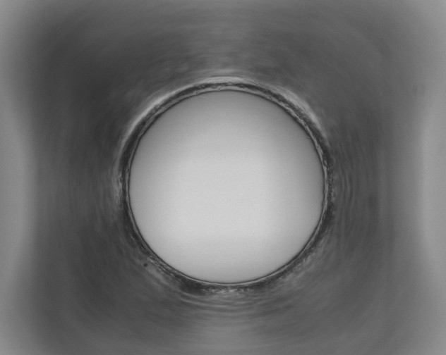 X0000110931167200906181150