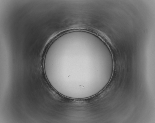 X0000110931168200906181150