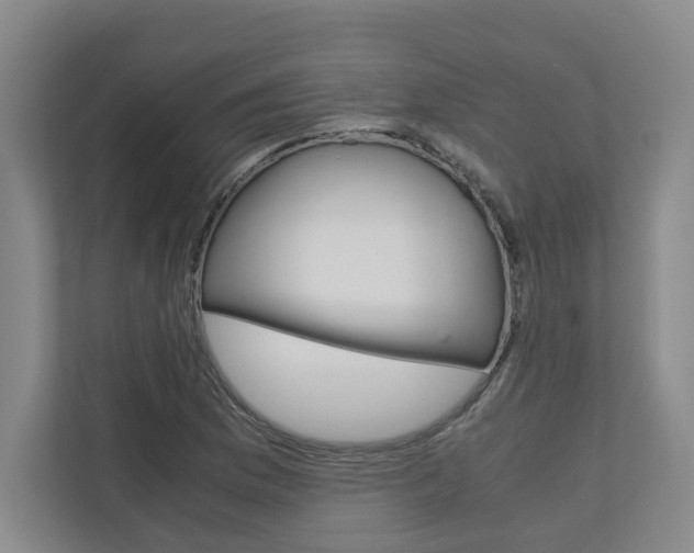 X0000110931169200906181150