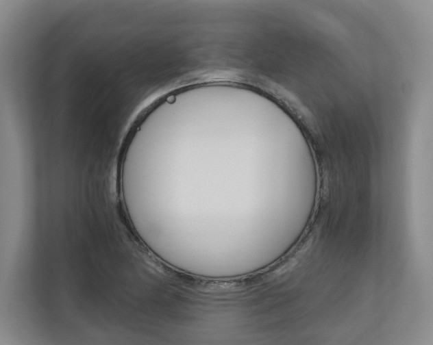 X0000110931174200906181150