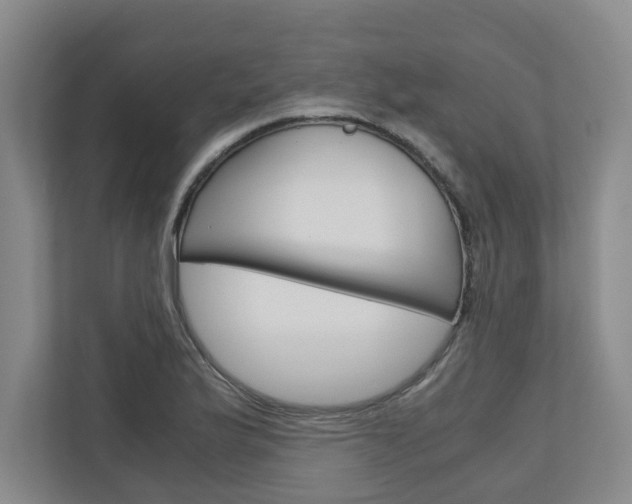 X0000110931175200906181150