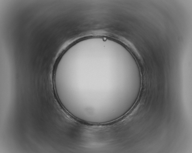 X0000110931176200906181150