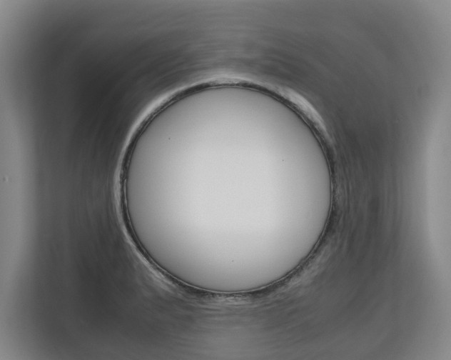 X0000110931183200906181150