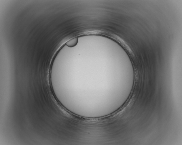 X0000110931186200906181150