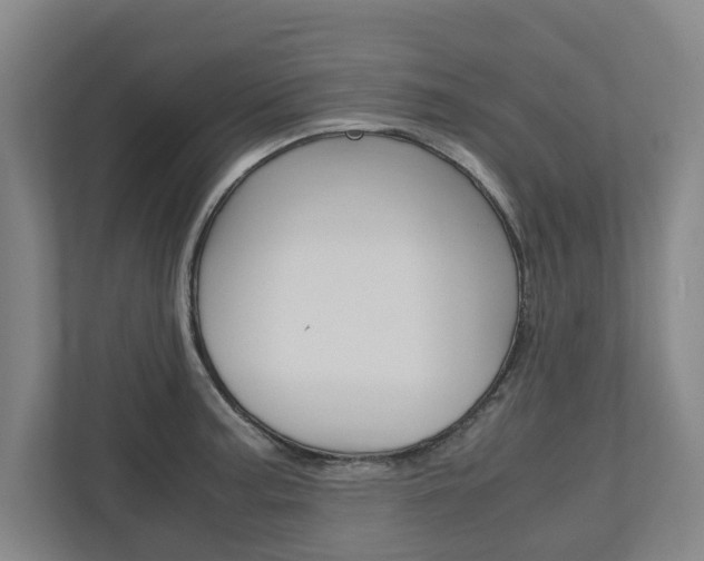 X0000110931187200906181149