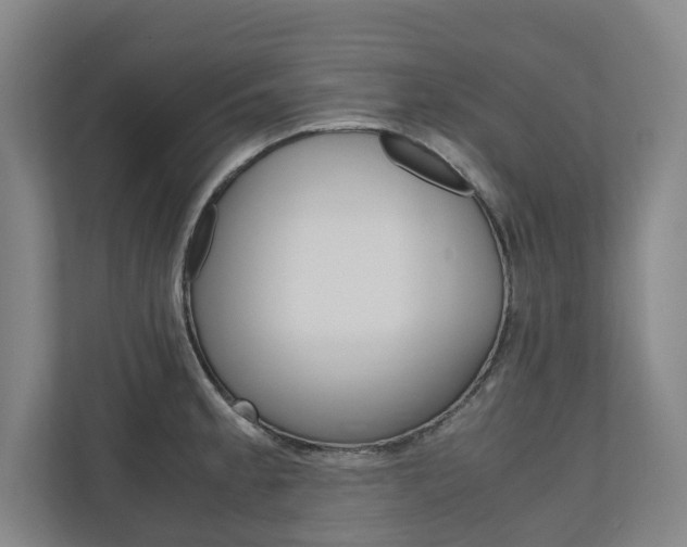 X0000110931189200906181149