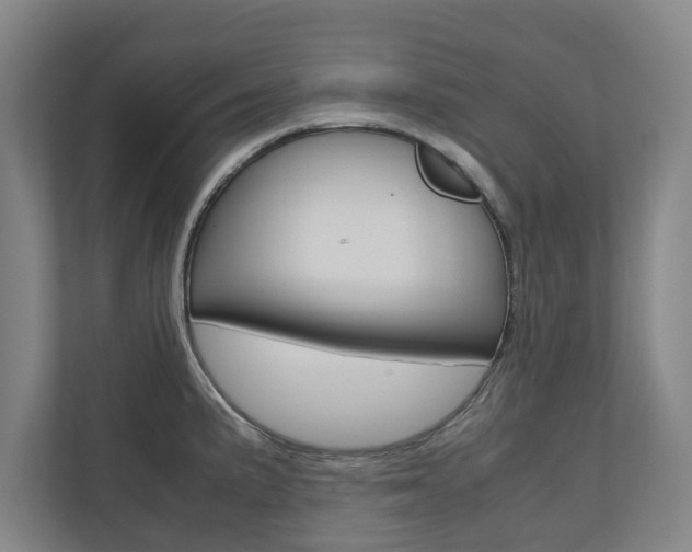 X0000110931191200906181149