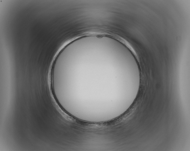 X0000110931195200906181149