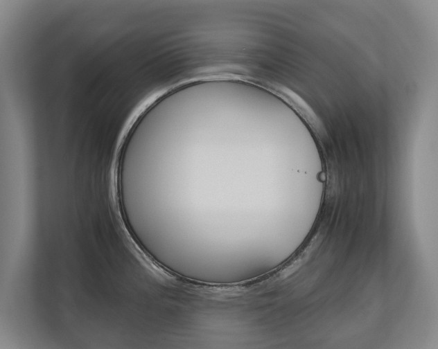 X0000110931196200906181149