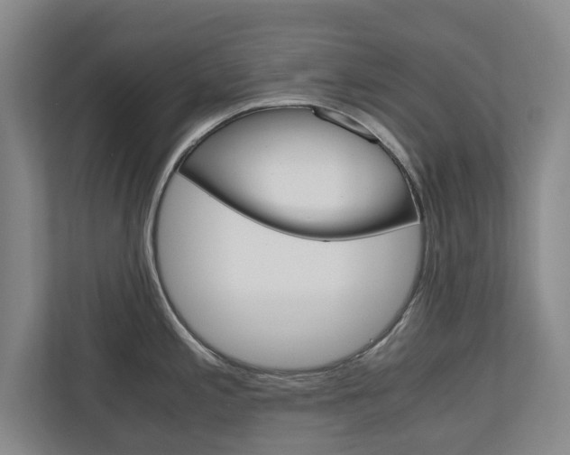 X0000110931197200906181149