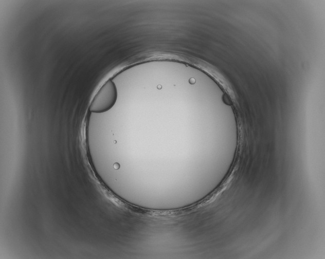 X0000110931198200906181149