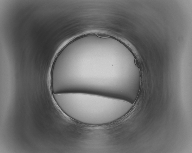 X0000110931199200906181149
