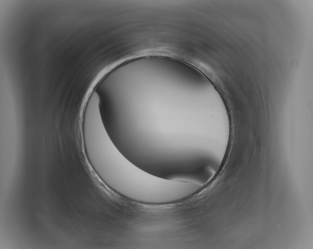 X0000110931200200906181149