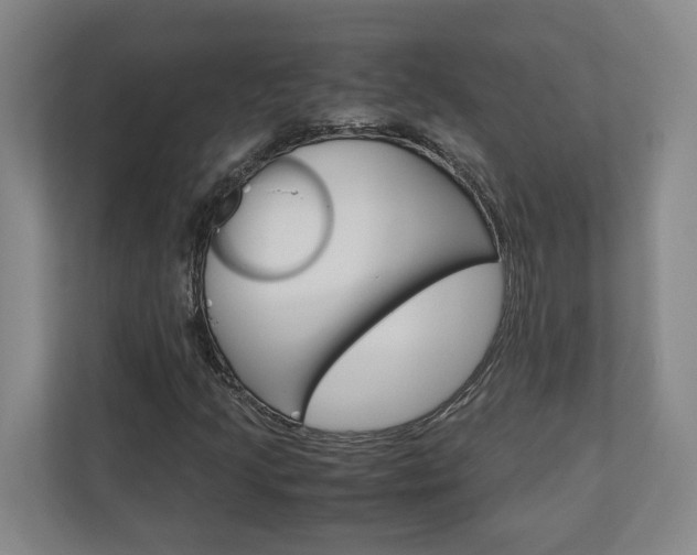 X0000110931205200906181149
