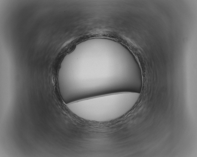 X0000110931206200906181149