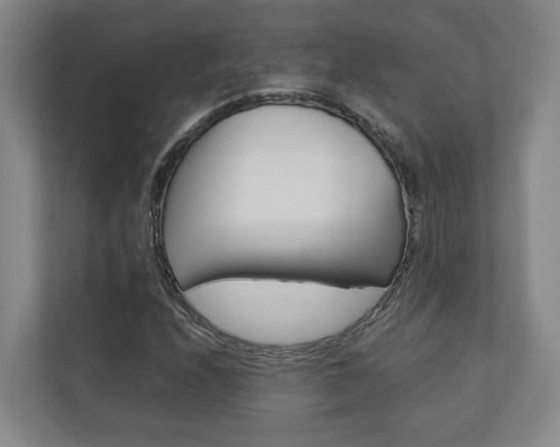 X0000110931208200906181149