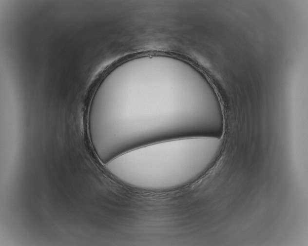 X0000110931214200906181149