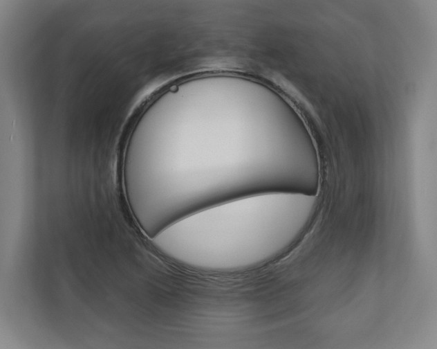 X0000110931222200906181149