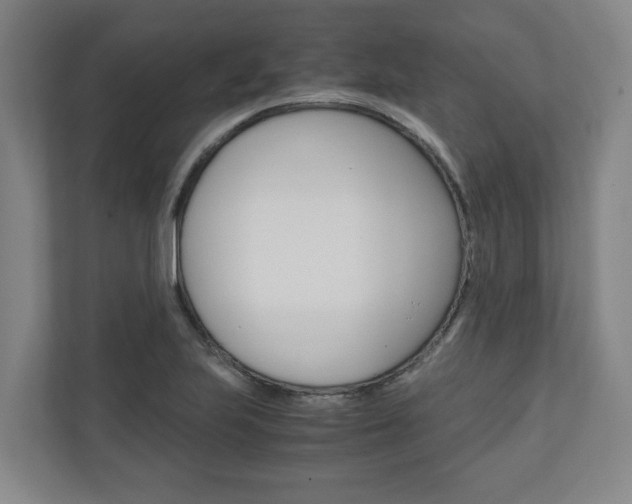 X0000110931223200906181149