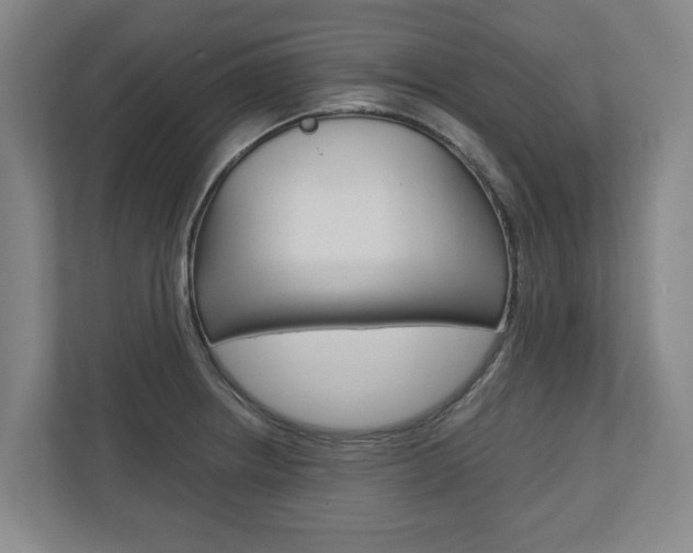 X0000110931234200906181149
