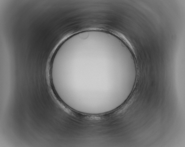X0000110931235200906181149